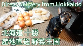 野菜王国 北海道 十勝 産地直送便 届いたよ！ Autumn harvest - Direct delivery from Hokkaido -