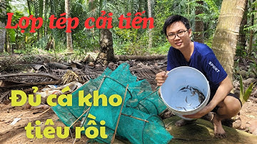 Đặt lợp tép cải tiến mà dính toàn cá bống xệ, chắc đủ nồi cá bống kho tiêu cả nhà ơi