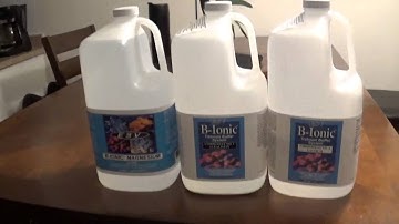 DOSING YOUR REEF TANK.  How i dose my tank