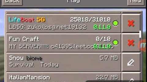 My leet.cc creative server