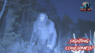 10 Real Bigfoot Sightings: They Saw Something...
