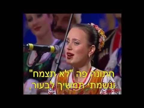 הו גורל שלי * Ах судьба моя - С перевод на иврите