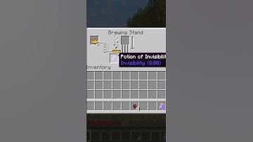 How to Make An Invisibility Potion In Minecraft |