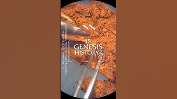 What Can Soft & Stretchy Tissue Mean for the Age of Dinosaurs?