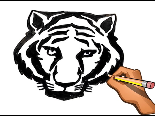 DIBUJO FACIL DE TIGRE EN BLANCO Y NEGRO PASO A PASO / DIBUJANDO TIGRE DE  BENGALA MUY FACIL - thptnganamst.edu.vn