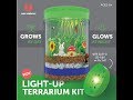 Mini Explorer Light-up Terrarium Kit Kids LED Light on Lid  Create Your Own