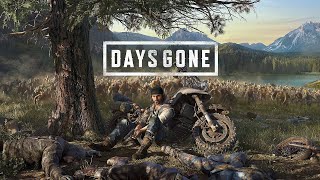 Days Gone[Ambush Camp Rush Challenge Gold Rank] + [All Sub-Challenges Gold]