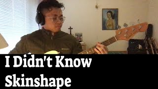 I Didn't Know - Skinshape - Bass cover