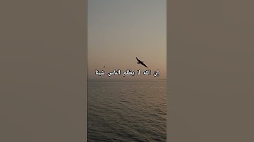 سورة يونس آية 44 #quran عبد الرحمن مسعد