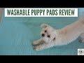 Testing Washable Puppy Pads | Plastic Free-ish Challenge #1