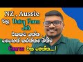 Practical Dairy Farm Training Course in Sri Lanka.