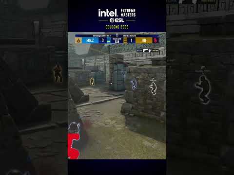 Blitz with a