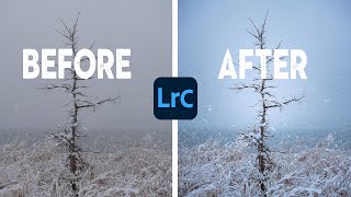 Editing YOUR PHOTOS using just LIGHTROOM screenshot 5