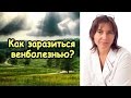 Как заразиться венболезнью