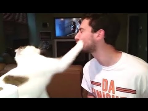 Funny Cats Hate Bad Singing Compilation || NEW