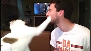 Funny Cats Hate Bad Singing Compilation || New