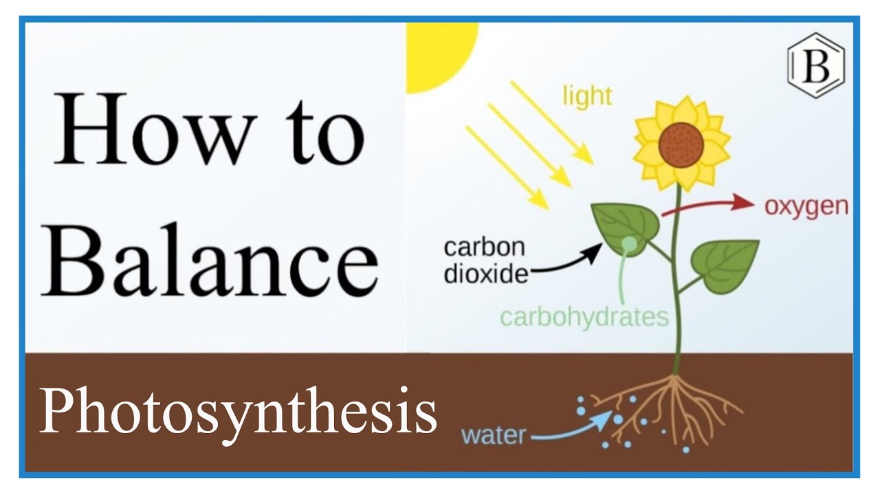 Equation For Photosynthesis Word Equation And Balancing YouTube