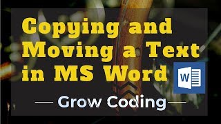 Copying and Moving a Text in MS Word