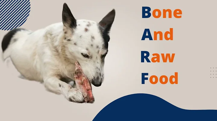 Introduction to Raw Feeding by Raw Pawz