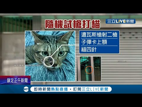 怪客隨機試槍？愛貓在家陽台遭槍"射擊"鼻子滿臉血 飼主怒在家也能中彈... 附近住戶憂治安是否亮紅燈│記者 林芷綺 孟國華│【LIVE大現場】20210425│三立新聞台