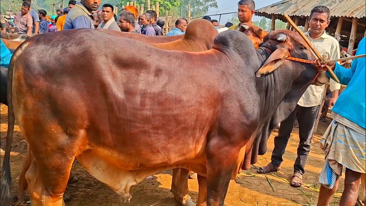 @আজ ২৭ ফেব্রুয়ারী