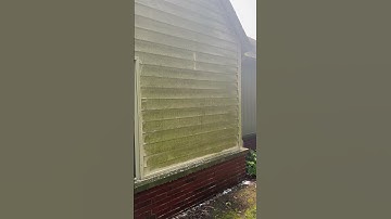 Wet and Forget siding mold remover