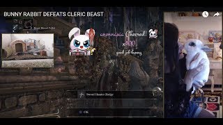 BUNNY RABBIT DEFEATS CLERIC BEAST