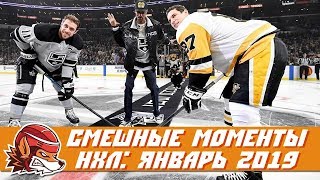 Самые курьёзные и смешные моменты НХЛ: январь 2019