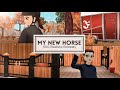 My New Horse! || Star Stable Online RRP