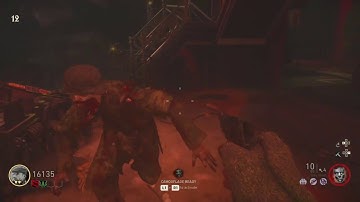 Keep a Sizzler Alive on Stage for a Full Minute! - Solo Guide | Shadowed Throne, Nazi Zombies