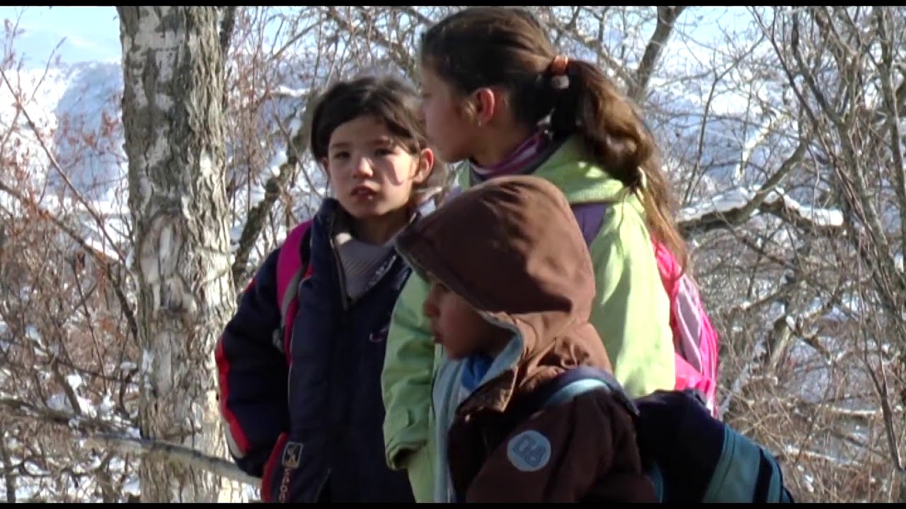 GOLLOBORDA E HARRUAR DHE IZOLUAR |ABC NEWS