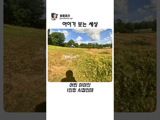 아이가 보는 세상