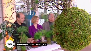 Kokedama : c’est quoi ça ?