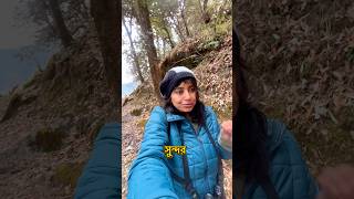 কষ্ট করে পাওয়া পাখি #shorts #chopta #Koklass