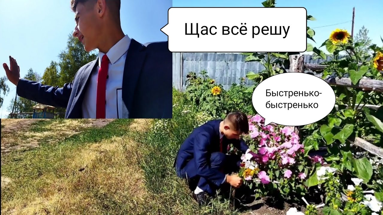 Поздравил мама с годовщиной свадьбы! Нарвал цветов)) #цветы #мама - YouTube