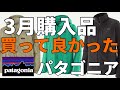【パタゴニア購入】やっぱり買って良かった！パタゴニアの春服！！