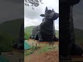 Biggest Nandi Statue At Suruli Forest Shorts Shortsfeed Biggest Nandi Statue At Suruli Forest Shorts Shortsfeed