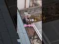 うちの子の特技