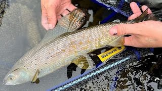 Fly Fishing for HUGE Grayling in Remote ALASKA | BEHIND THE SCENES of 'Alaska Grayling Camp' PART 1