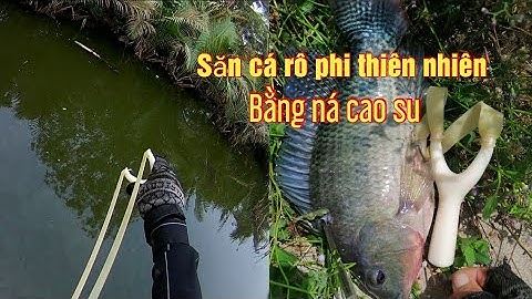 Ná Cao su - Bắn cá rô phi bằng ná.