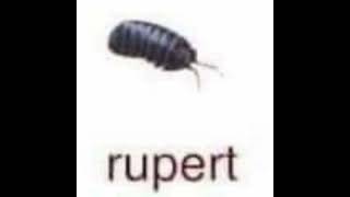 Ruperts Theme Song