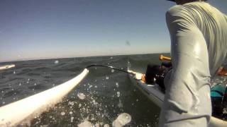 OC1 Downwind - Wavechaser Surf Race 2011 - Like a Big Bear, Man.