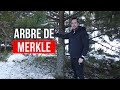 Je vous explique larbre de merkle ep5  journal dun dveloppeur web3