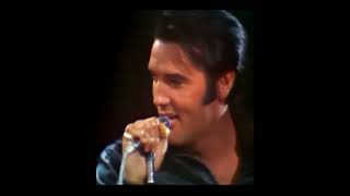 Heartbreak Hotel - Elvis Presley live