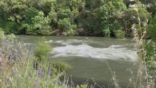 Woman lucky to be alive after being stranded in river in Amador County