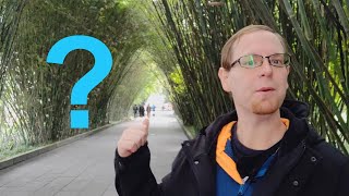 Chengdu, What To Do?   Wangjianglou Park | BEST Park in Chengdu!