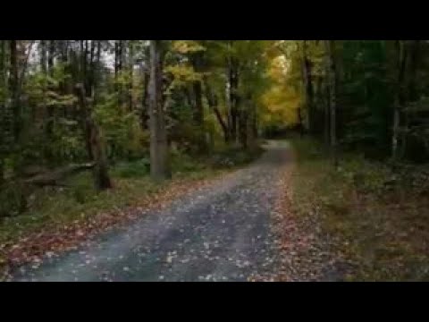 1 Stewart Ln, Sand Lake, NY home video tour