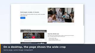 Crop Images for Desktop and Mobile - StinkBugs Studio Assets