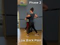 Push Pull in Split Stance: Back Pain Physical Therapy | Level One