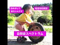 姫ちゃんの紹介です。＃自閉症スペクトラム＃軽度知的障害